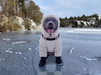Pawkra™ Dog Winter Suit